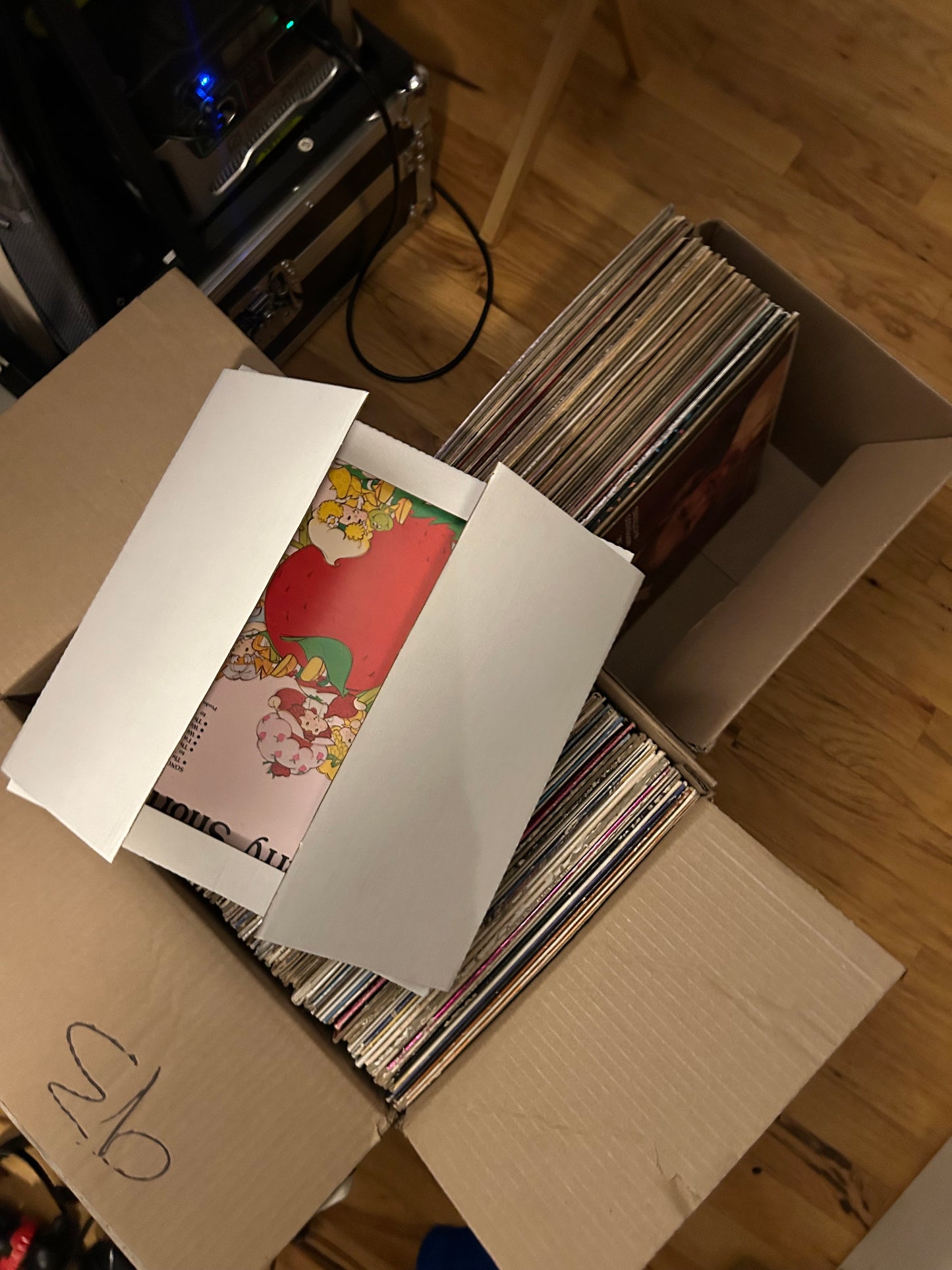Verse Osmo Curated Physical Sample Pack (13 Records)