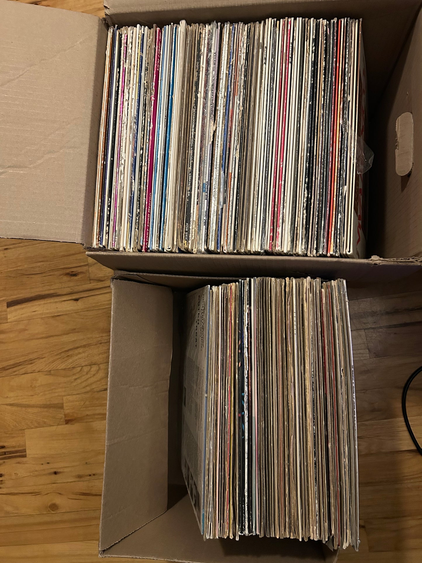 Verse Osmo Curated Physical Sample Pack (13 Records)